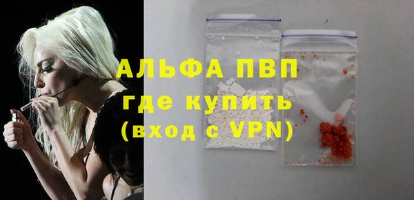 прущие грибы Куйбышев