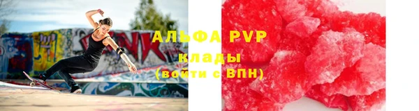 PSILOCYBIN Кукмор