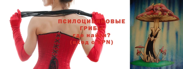 прущие грибы Куйбышев