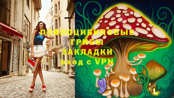 PSILOCYBIN Кукмор