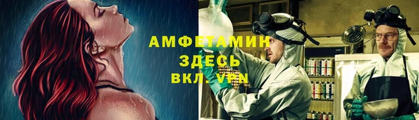 прущие грибы Куйбышев