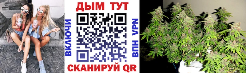 МАРИХУАНА конопля где найти наркотики Фатеж